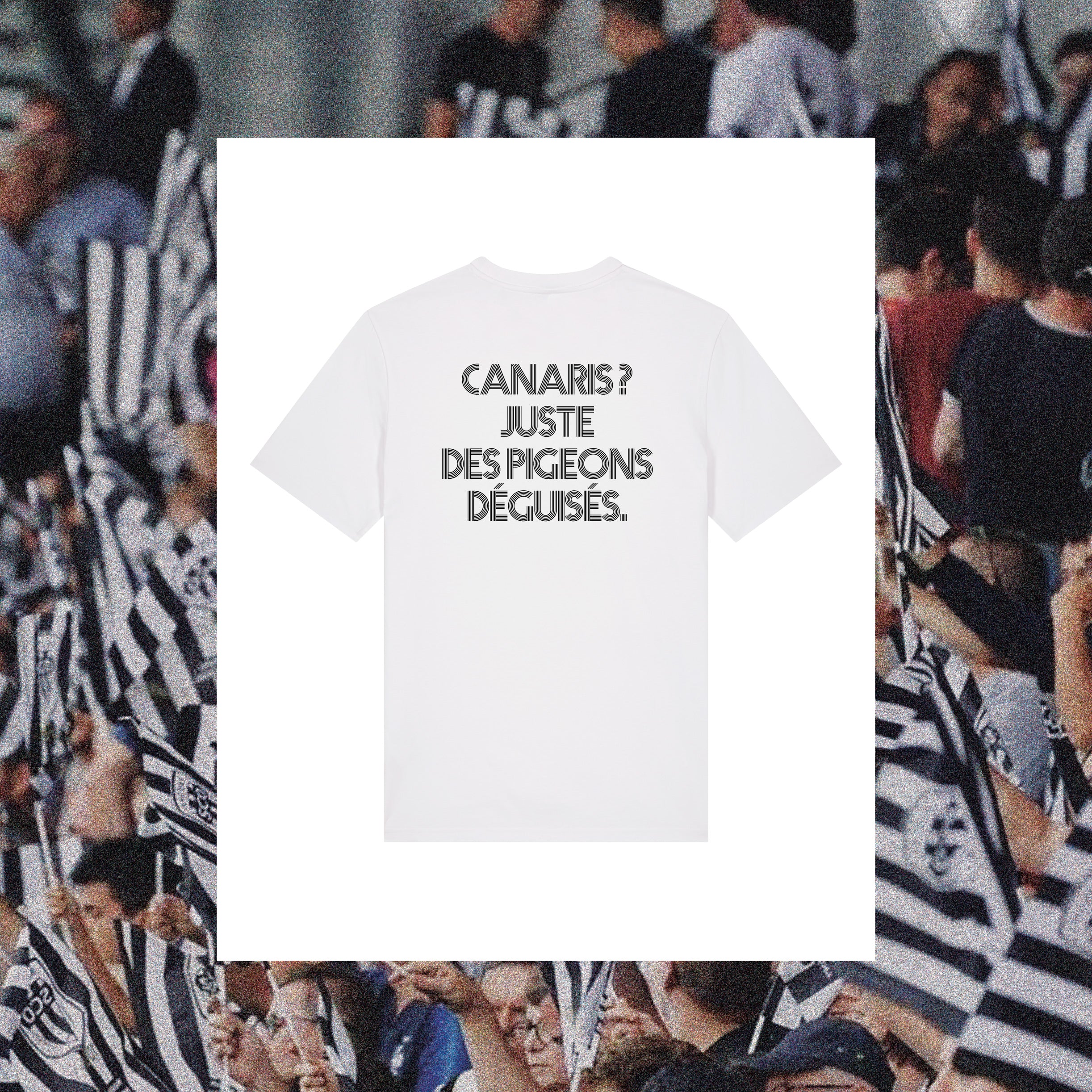 T-Shirt Angers : "Canaris ? Juste des pigeons déguisés" - Club des Enfileurs