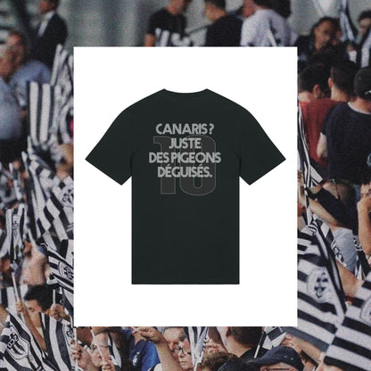 T-Shirt Angers : "Canaris ? Juste des pigeons déguisés" - Club des Enfileurs